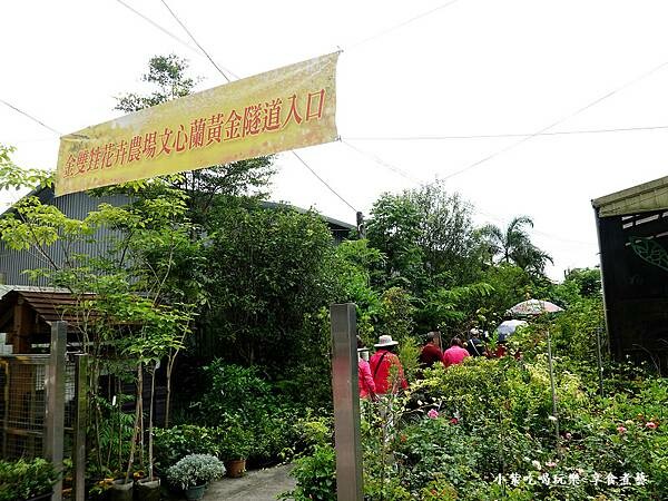 文心蘭隧道入口-金雙甡花卉農場0.jpg 文心蘭隧道入口-金雙甡花卉農場0.jpg