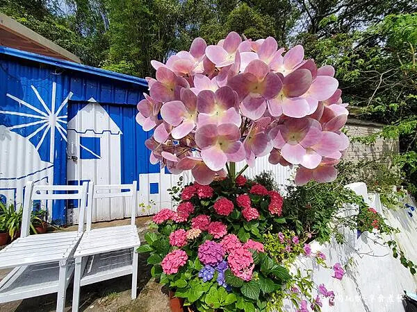 2024-5月枕頭山農莊 (2).jpg 2024-5月枕頭山農莊 (2).jpg