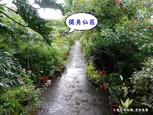 獨角仙區花卉-金雙甡花卉農場.jpg 獨角仙區花卉-金雙甡花卉農場.jpg