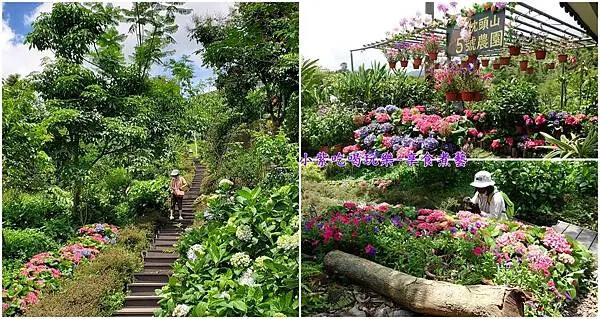 2025枕頭山5號農園-首圖.jpg 2025枕頭山5號農園-首圖.jpg