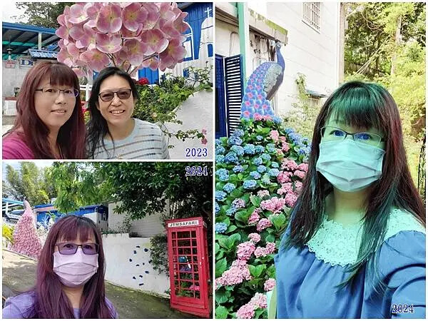 連續賞花4年-枕頭山農莊.jpg 連續賞花4年-枕頭山農莊.jpg