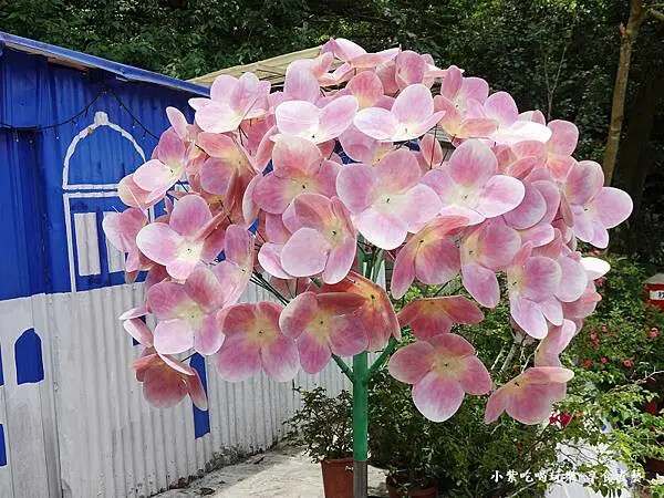 2025-枕頭山農莊餐飲區 (1).jpg 2025-枕頭山農莊餐飲區 (1).jpg