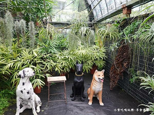 狗裝置拍照區-金雙甡花卉農場.jpg 狗裝置拍照區-金雙甡花卉農場.jpg