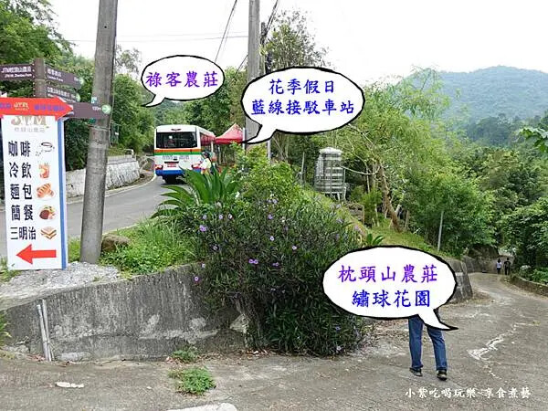 往-枕頭山農莊繡球花園路口.jpg 往-枕頭山農莊繡球花園路口.jpg