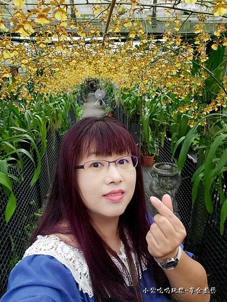 紫相片-金雙甡花卉農場 (1).jpg 紫相片-金雙甡花卉農場 (1).jpg