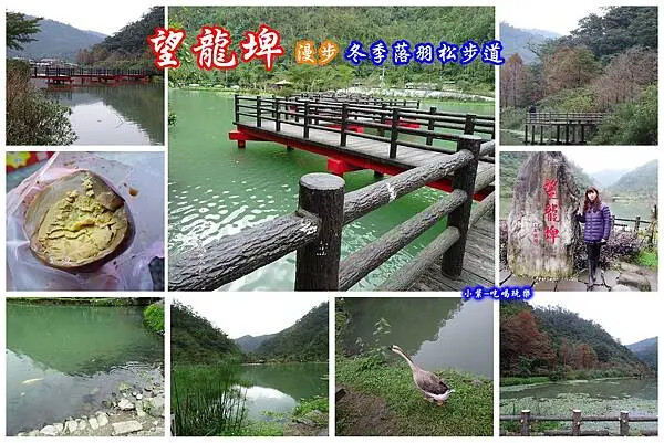 望龍埤-拼圖.jpg 望龍埤-拼圖.jpg