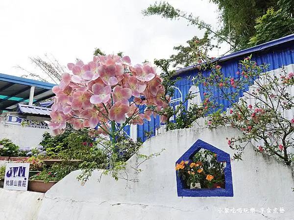 2025-枕頭山農莊餐飲區 (2).jpg 2025-枕頭山農莊餐飲區 (2).jpg