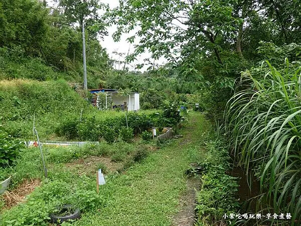 枕頭山農莊-吳家果樹農園繡球花季 (18).jpg 枕頭山農莊-吳家果樹農園繡球花季 (18).jpg