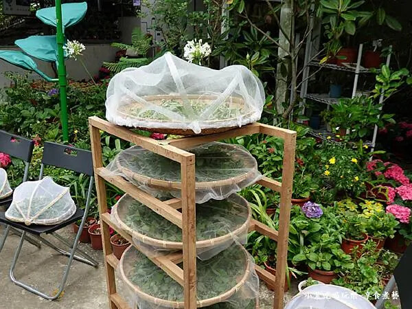 自曬香草-枕頭山農莊1.jpg 自曬香草-枕頭山農莊1.jpg