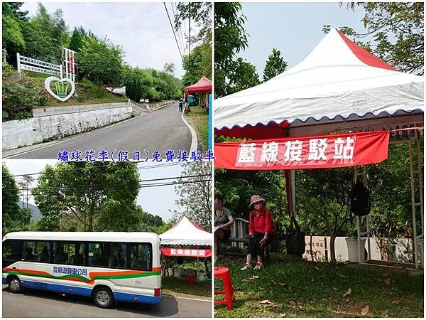 繡球花季(假日)藍線免費接駁車-枕頭山農莊前.jpg 繡球花季(假日)藍線免費接駁車-枕頭山農莊前.jpg