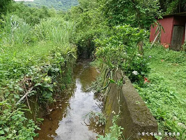 枕頭山農莊-吳家果樹農園繡球花季 (17).jpg 枕頭山農莊-吳家果樹農園繡球花季 (17).jpg
