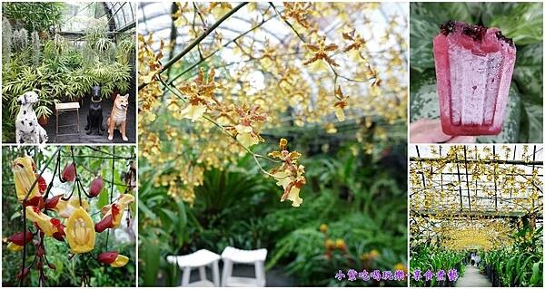 宜蘭員山-金雙甡花卉農場首圖.jpg 宜蘭員山-金雙甡花卉農場首圖.jpg