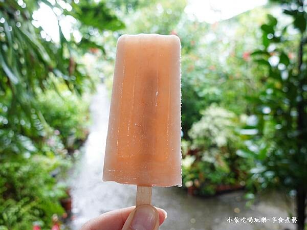 紅心芭樂冰棒-金雙甡花卉農場.jpg 紅心芭樂冰棒-金雙甡花卉農場.jpg