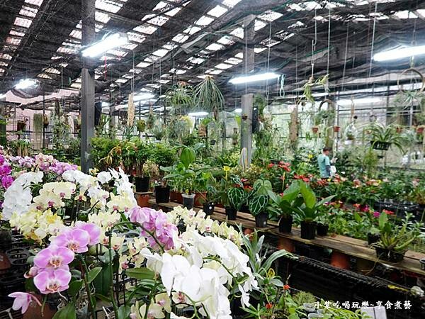 花卉販售區-金雙甡花卉農場 (2).jpg 花卉販售區-金雙甡花卉農場 (2).jpg