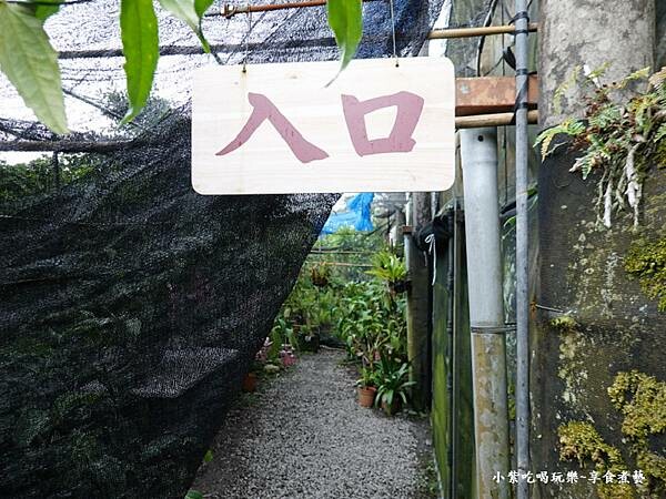 開始進入有棚花卉區-金雙甡花卉農場.jpg 開始進入有棚花卉區-金雙甡花卉農場.jpg