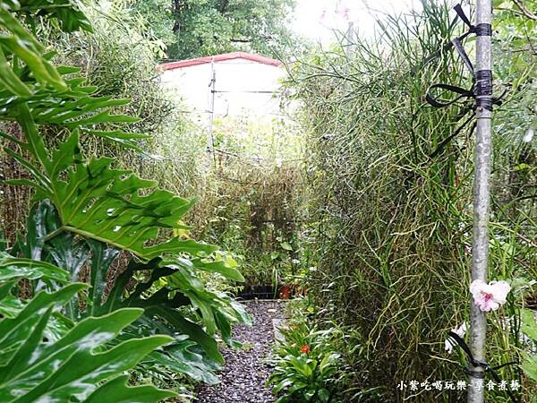 蘭花隧道-金雙甡花卉農場.jpg 蘭花隧道-金雙甡花卉農場.jpg