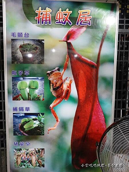 捕蚊居-金雙甡花卉農場5.jpg 捕蚊居-金雙甡花卉農場5.jpg