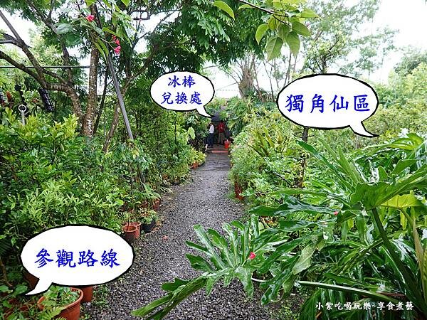 參觀路線指引-金雙甡花卉農場.jpg 參觀路線指引-金雙甡花卉農場.jpg
