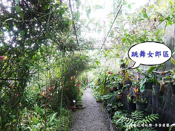 參觀動線-金雙甡花卉農場3.jpg 參觀動線-金雙甡花卉農場3.jpg