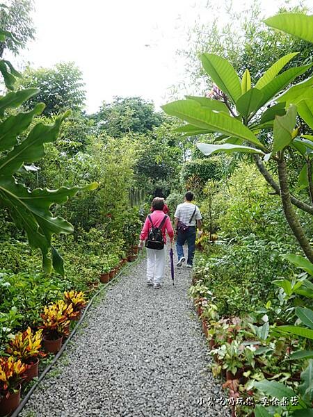 參觀動線-金雙甡花卉農場 2.jpg 參觀動線-金雙甡花卉農場 2.jpg