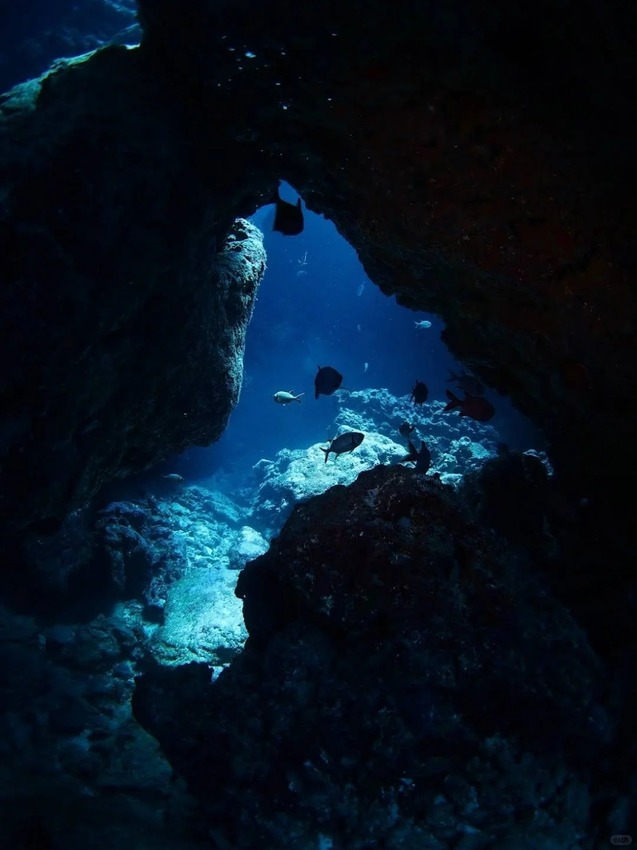 日本🇯🇵尋找沖繩夢幻的藍色光芒｜青之洞穴攻略