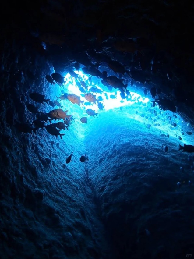 日本🇯🇵尋找沖繩夢幻的藍色光芒｜青之洞穴攻略