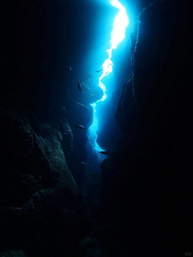 日本🇯🇵尋找沖繩夢幻的藍色光芒｜青之洞穴攻略