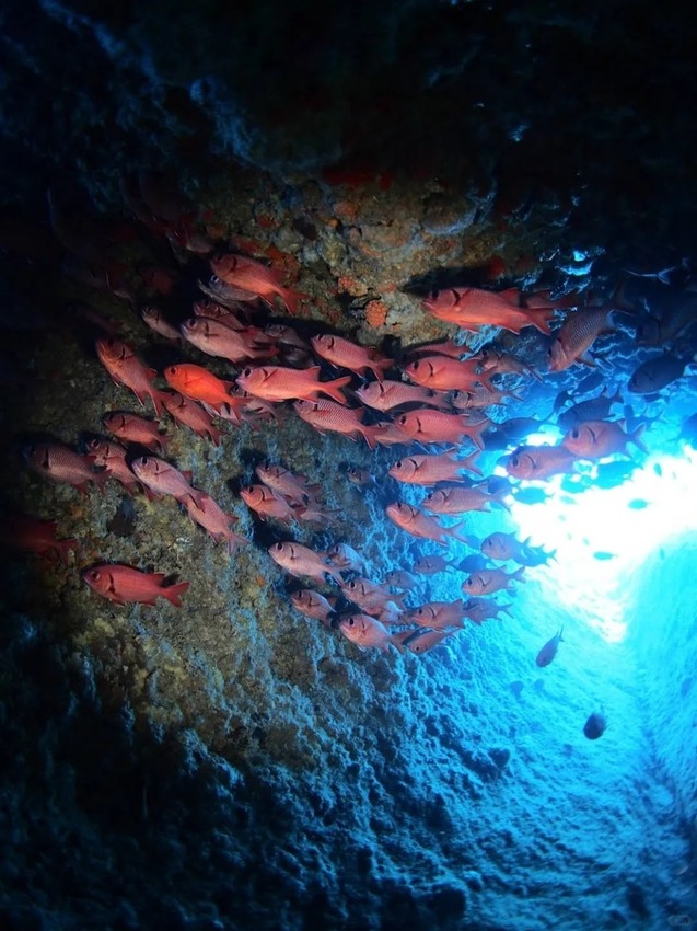 日本🇯🇵尋找沖繩夢幻的藍色光芒｜青之洞穴攻略