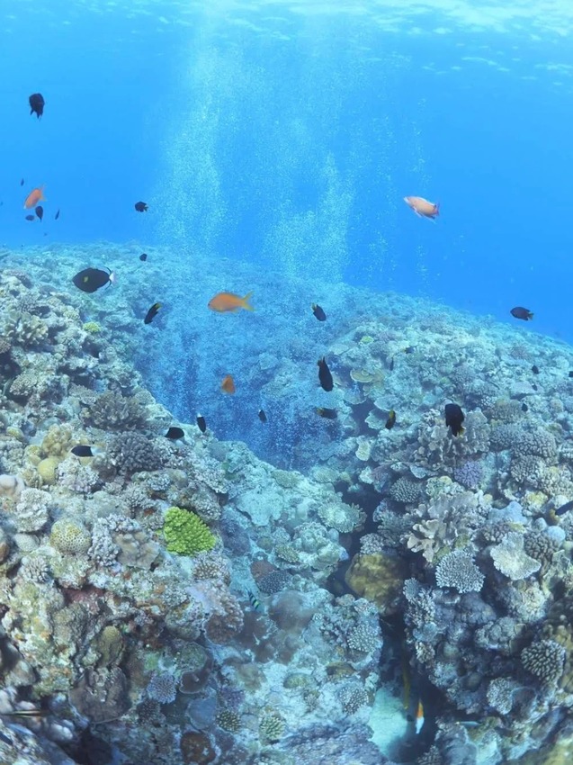 日本🇯🇵尋找沖繩夢幻的藍色光芒｜青之洞穴攻略