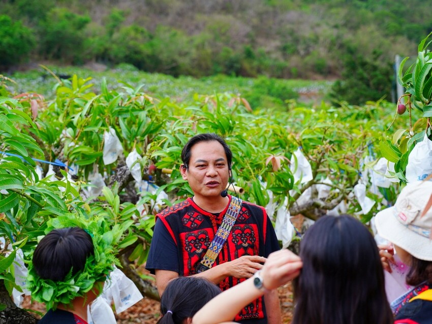 屏東縣獅子鄉在獅子好芒·山蘇蕨起裡,展開一場山海交織的部落旅行|走進獅子鄉 Sisigu