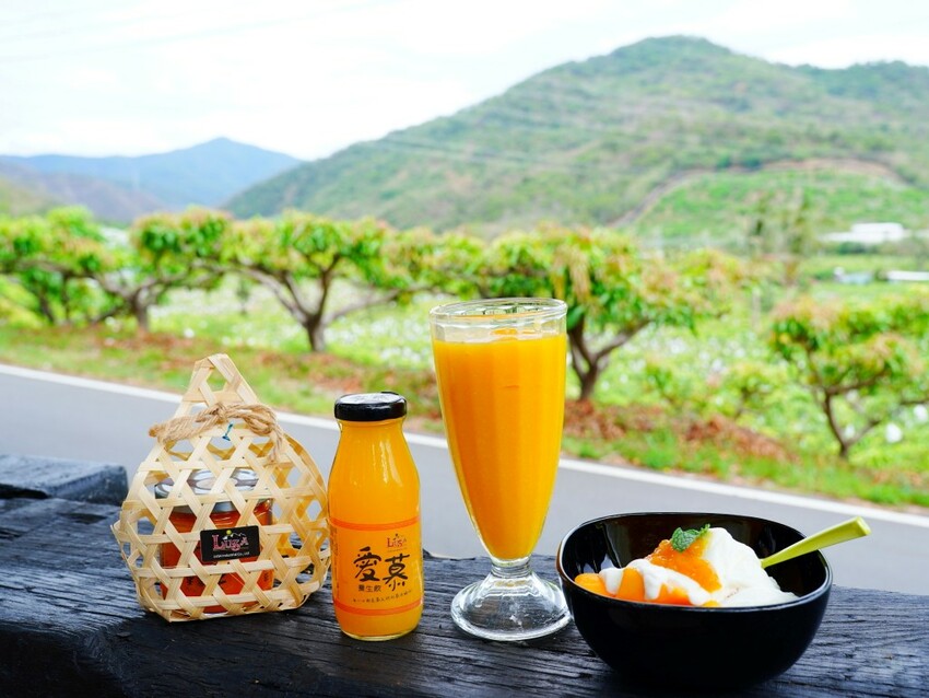 屏東縣獅子鄉在獅子好芒·山蘇蕨起裡,展開一場山海交織的部落旅行|走進獅子鄉 Sisigu