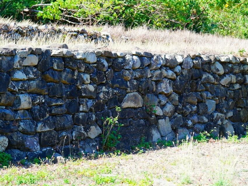 屏東縣獅子鄉在獅子好芒·山蘇蕨起裡,展開一場山海交織的部落旅行|走進獅子鄉 Sisigu