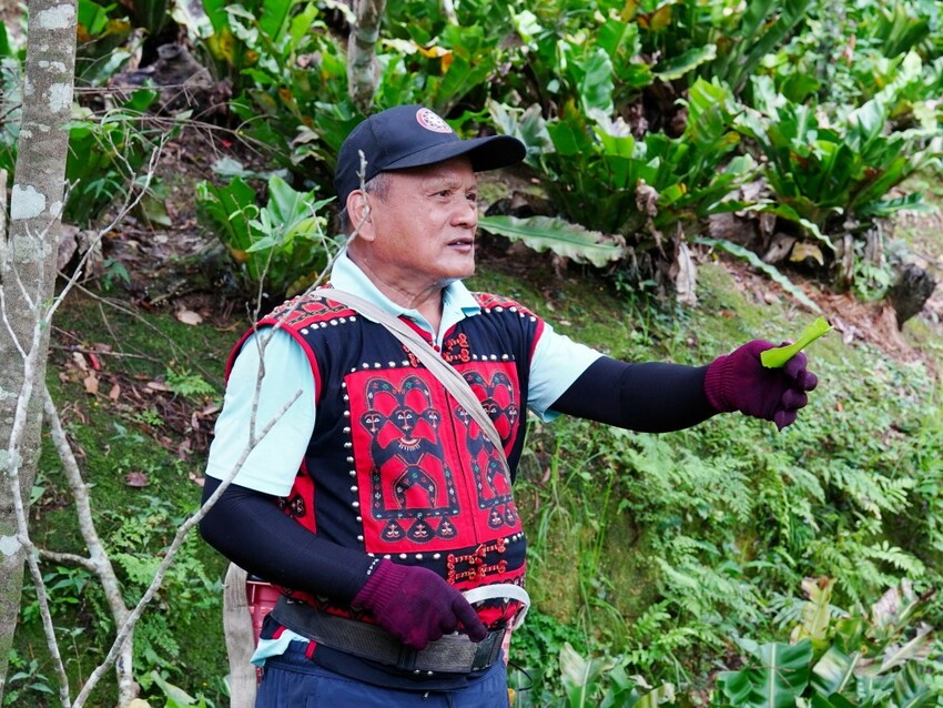 屏東縣獅子鄉在獅子好芒·山蘇蕨起裡,展開一場山海交織的部落旅行|走進獅子鄉 Sisigu