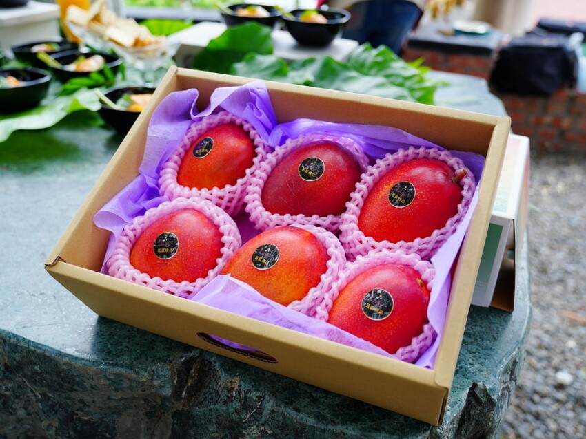 屏東縣獅子鄉在獅子好芒·山蘇蕨起裡,展開一場山海交織的部落旅行|走進獅子鄉 Sisigu