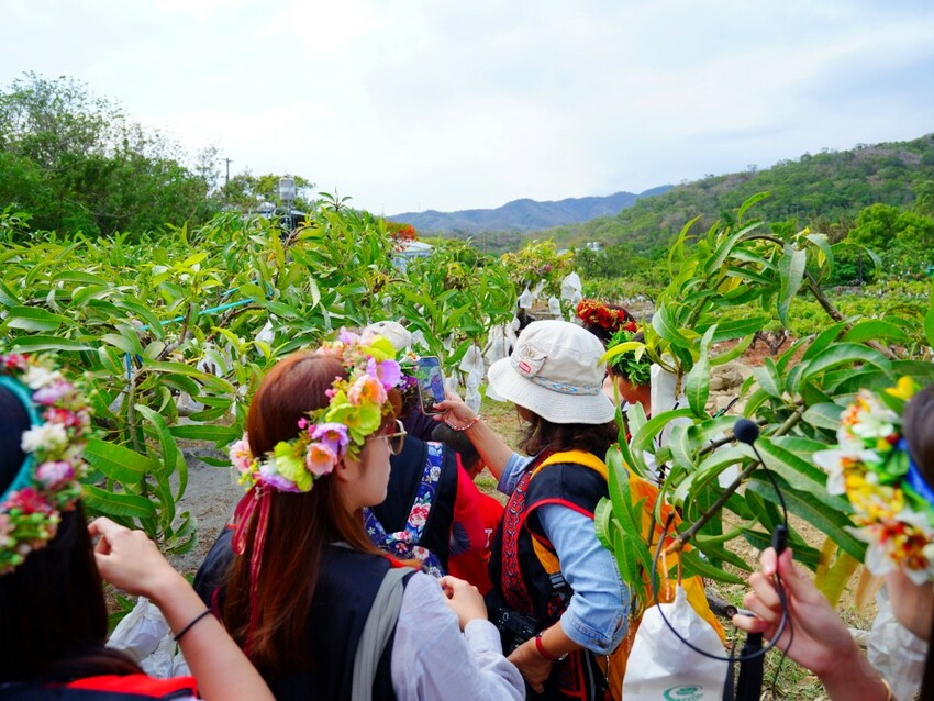 屏東縣獅子鄉在獅子好芒·山蘇蕨起裡,展開一場山海交織的部落旅行|走進獅子鄉 Sisigu