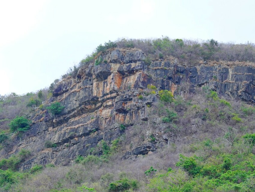 屏東縣獅子鄉在獅子好芒·山蘇蕨起裡,展開一場山海交織的部落旅行|走進獅子鄉 Sisigu