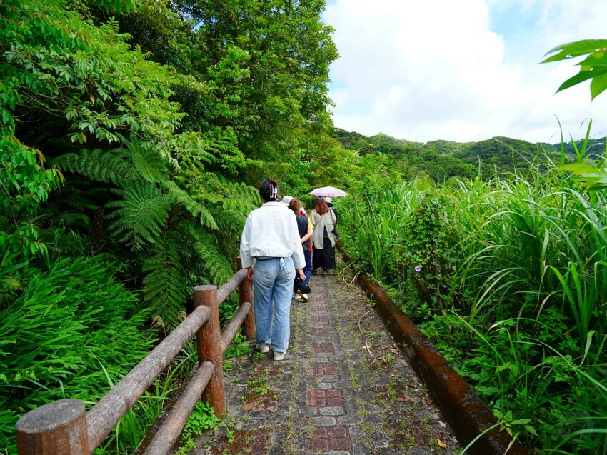 屏東縣獅子鄉在獅子好芒·山蘇蕨起裡,展開一場山海交織的部落旅行|走進獅子鄉 Sisigu
