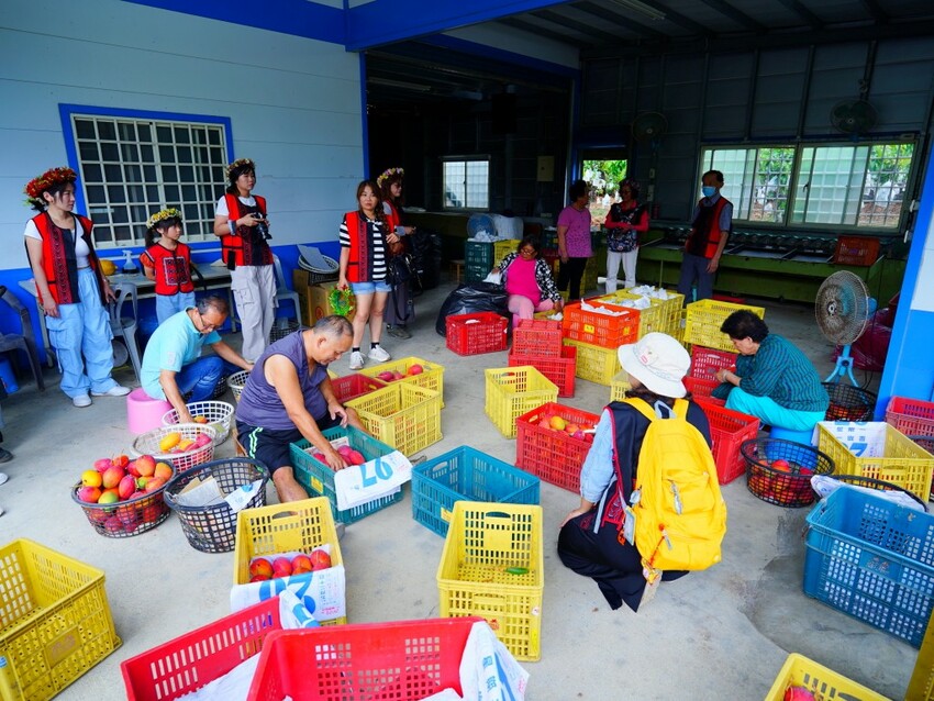 屏東縣獅子鄉在獅子好芒·山蘇蕨起裡,展開一場山海交織的部落旅行|走進獅子鄉 Sisigu