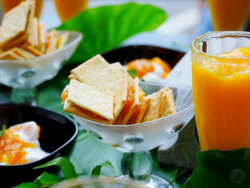 屏東縣獅子鄉在獅子好芒·山蘇蕨起裡,展開一場山海交織的部落旅行|走進獅子鄉 Sisigu