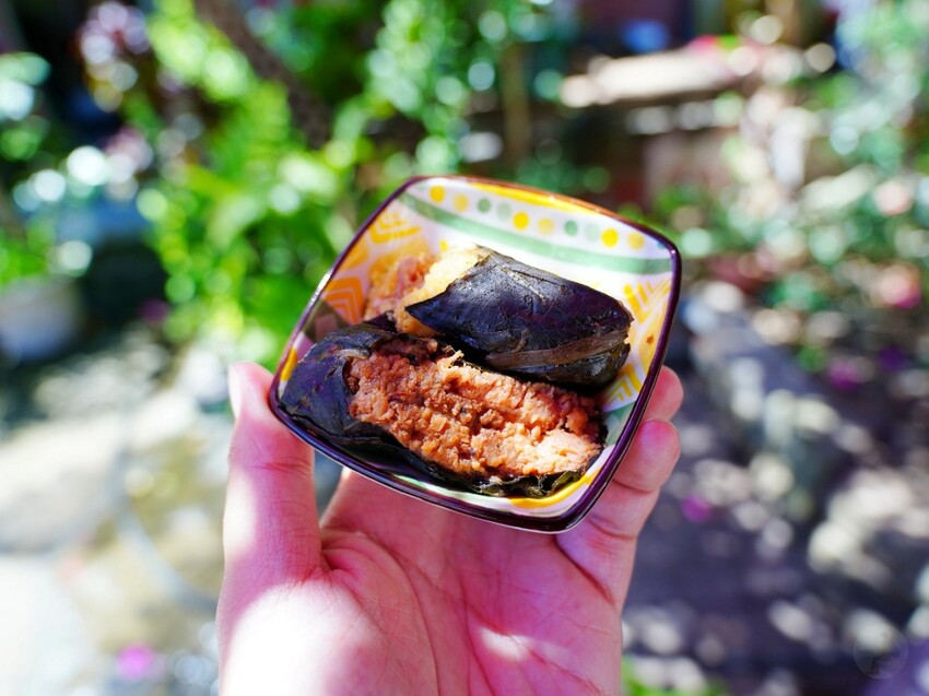 屏東縣獅子鄉在獅子好芒·山蘇蕨起裡,展開一場山海交織的部落旅行|走進獅子鄉 Sisigu