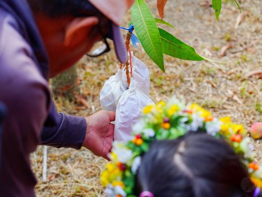 屏東縣獅子鄉在獅子好芒·山蘇蕨起裡,展開一場山海交織的部落旅行|走進獅子鄉 Sisigu