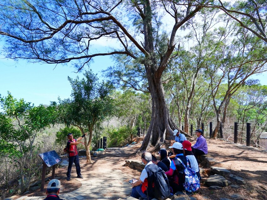 屏東縣獅子鄉在獅子好芒·山蘇蕨起裡,展開一場山海交織的部落旅行|走進獅子鄉 Sisigu