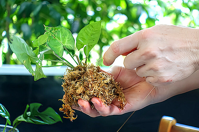 /tmp/phpFVVLjR /tmp/phpFVVLjR