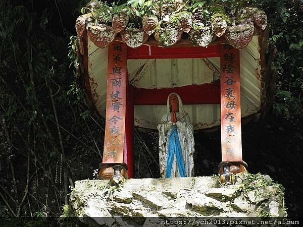 20250301抹茶山(1) 20250301抹茶山(1)