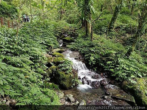20250301抹茶山(1) 20250301抹茶山(1)