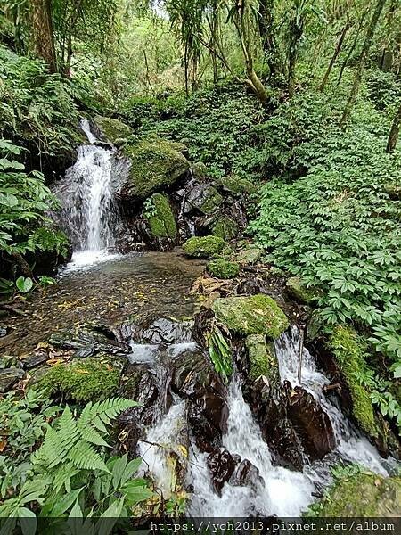 20250301抹茶山(1) 20250301抹茶山(1)