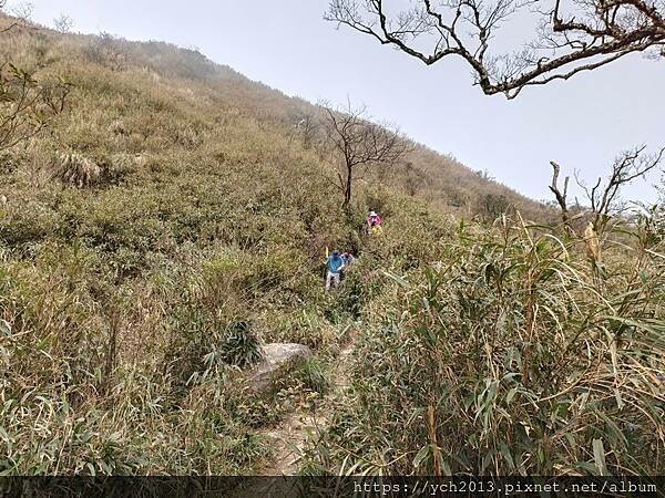 宜蘭景點/抹茶山之旅(下)/登頂抹茶山觀景平台、聖母山莊,再 宜蘭景點/抹茶山之旅(下)/登頂抹茶山觀景平台、聖母山莊,再