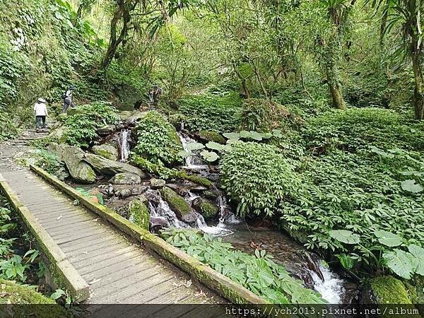 20250301抹茶山(1) 20250301抹茶山(1)