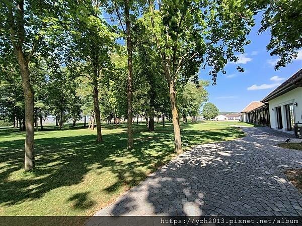 Castelul Bethlen Haller 城堡酒莊品酒