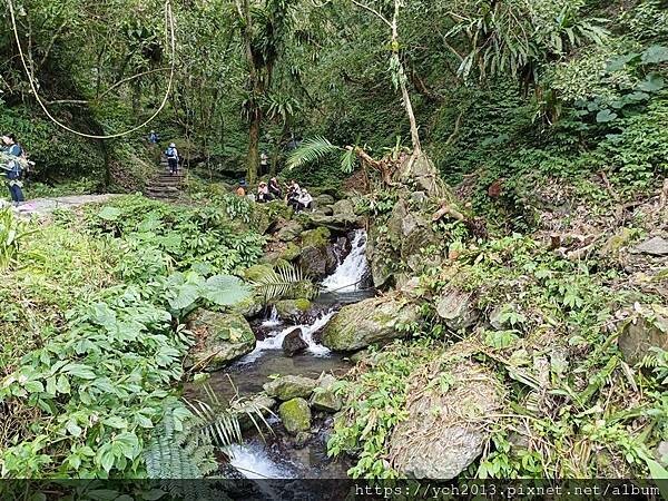 20250301抹茶山(1) 20250301抹茶山(1)